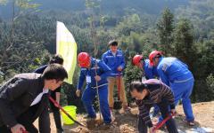 thumb_240_150_20170316090036547