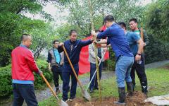 thumb_240_150_20170327112114280