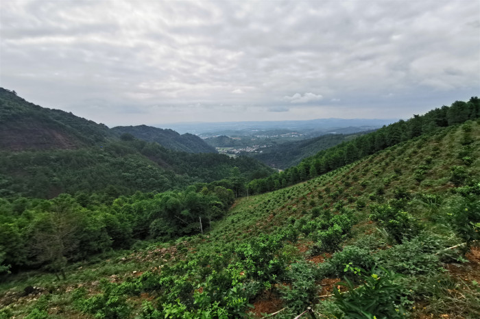 pg电子游戏(试玩)官方网站-APP下载