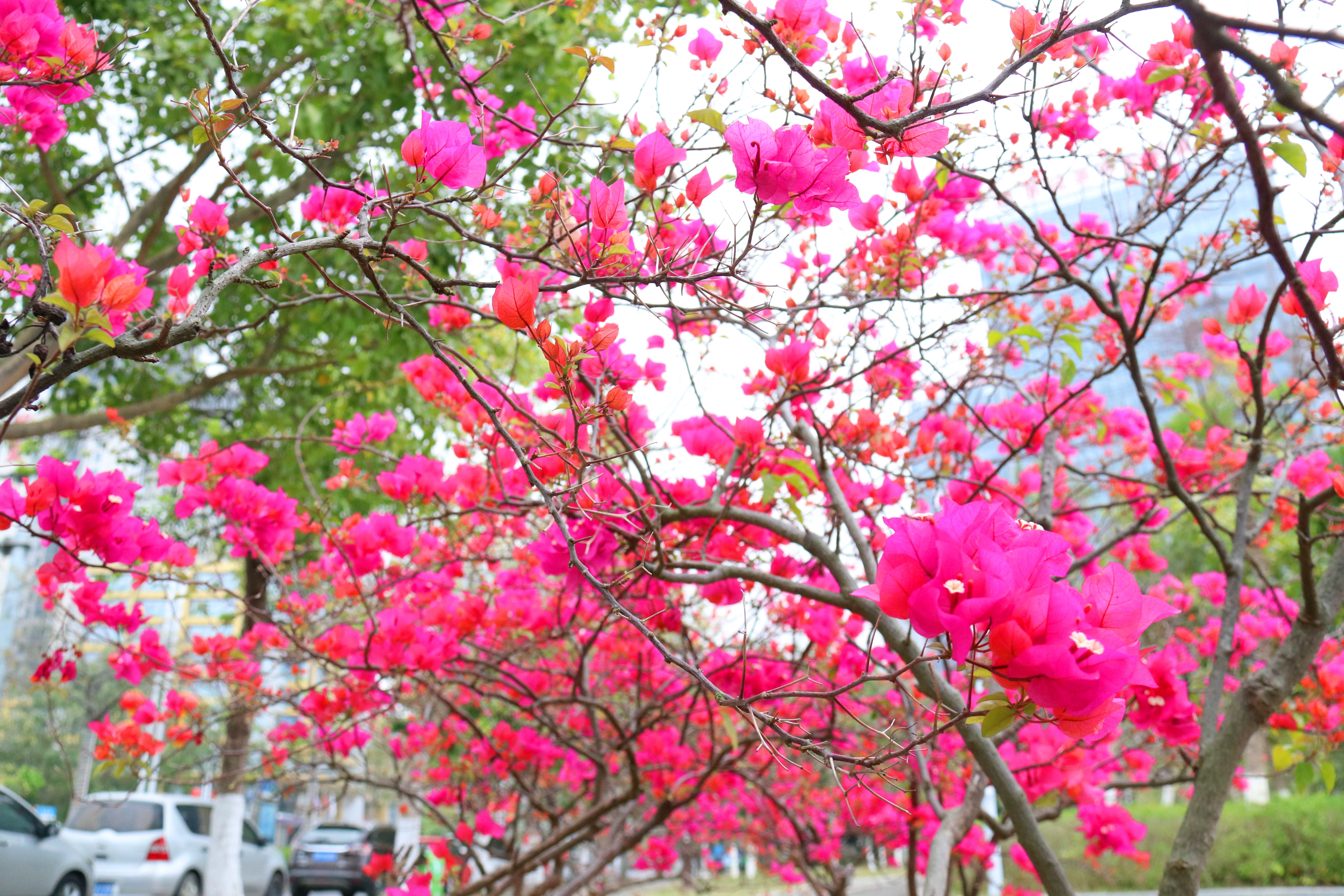 pg电子游戏(试玩)官方网站-APP下载