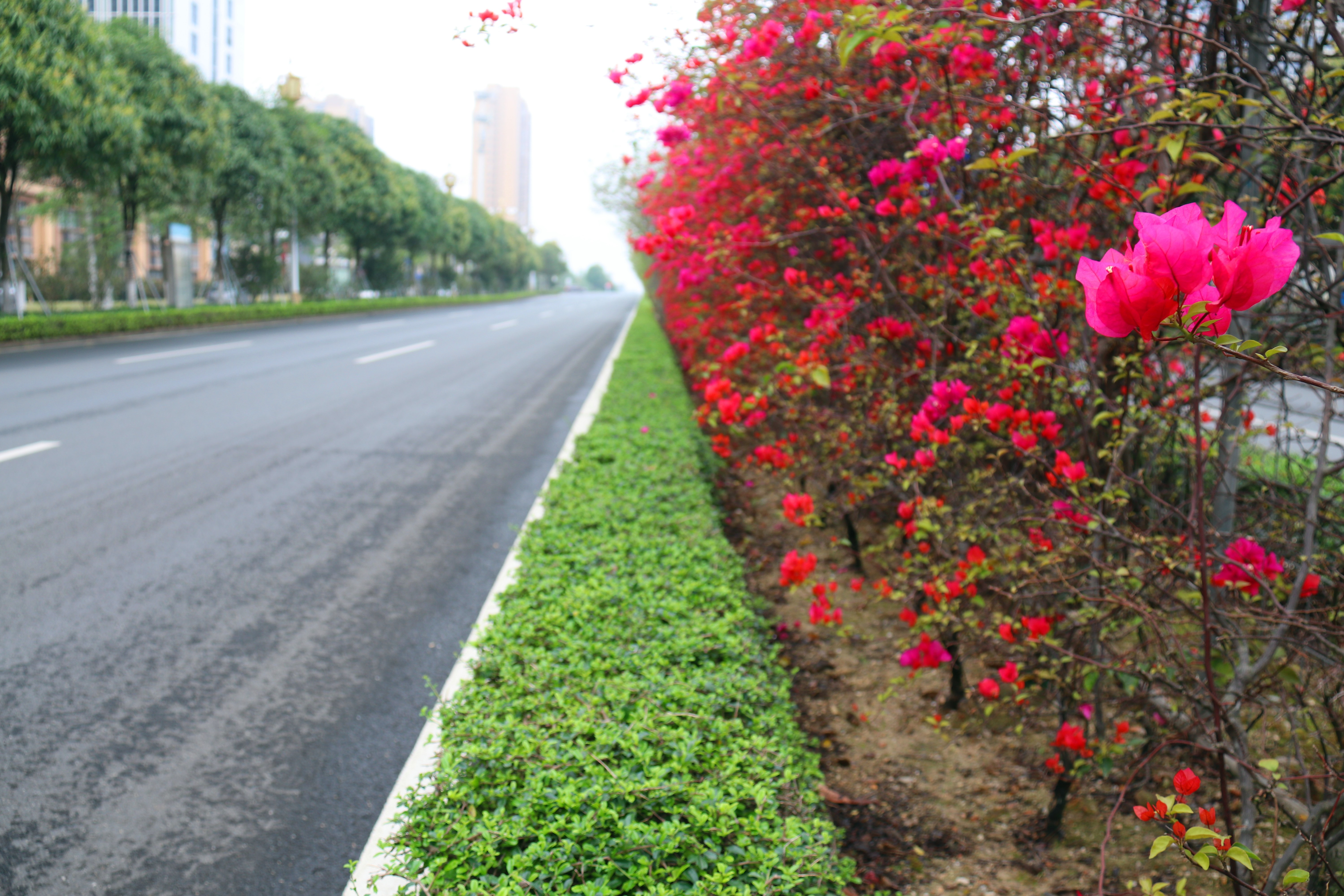 pg电子游戏(试玩)官方网站-APP下载