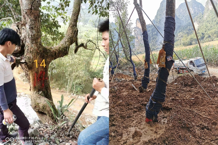 pg电子游戏(试玩)官方网站-APP下载