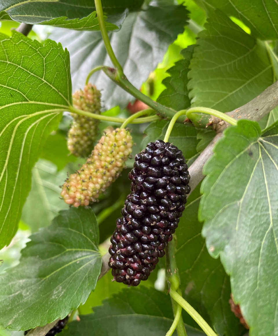 pg电子游戏(试玩)官方网站-APP下载