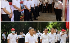 thumb_240_150_20220628063224901