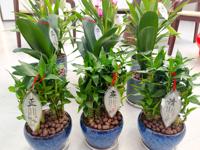 pg电子游戏(试玩)官方网站-APP下载