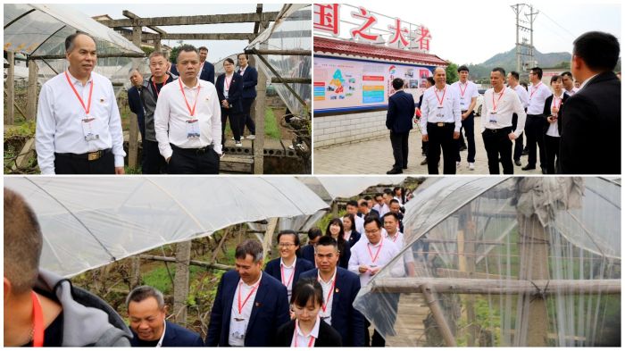 pg电子游戏(试玩)官方网站-APP下载