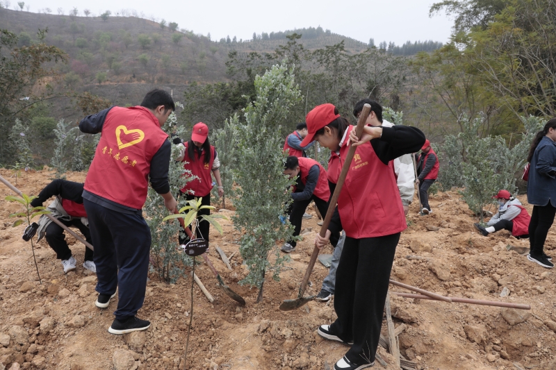 pg电子游戏(试玩)官方网站-APP下载